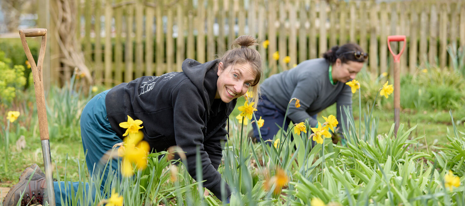 Horticulture banner