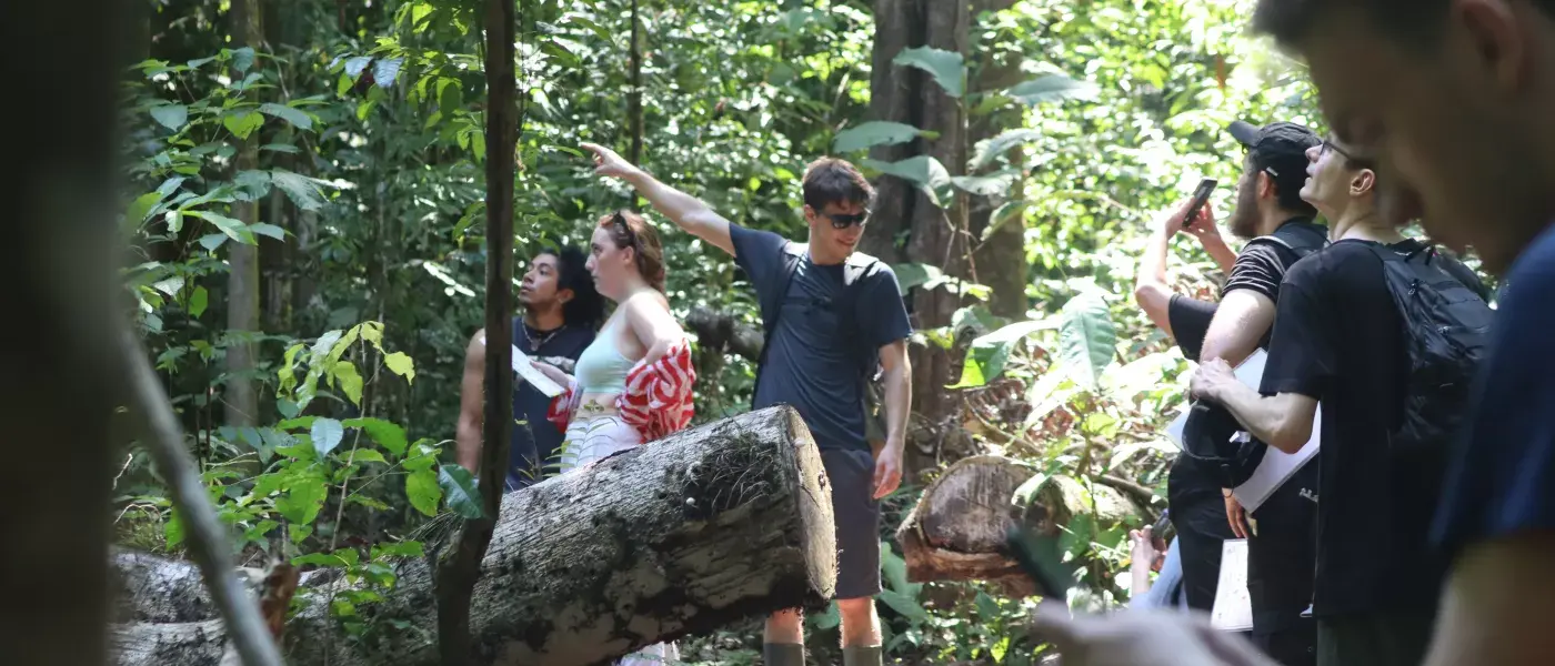 Waking Up with Howler Monkeys