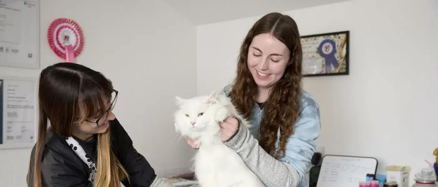 Moulton College Cloverlea Cattery 310125 0119