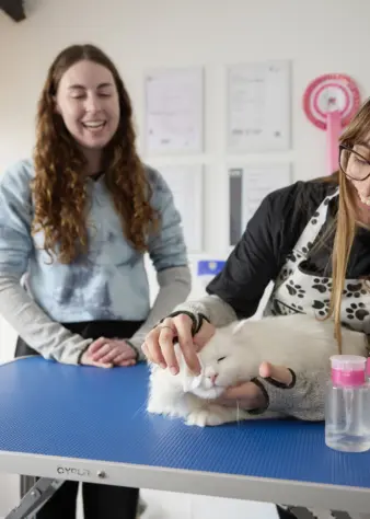 Moulton College Cloverlea Cattery 310125 0038