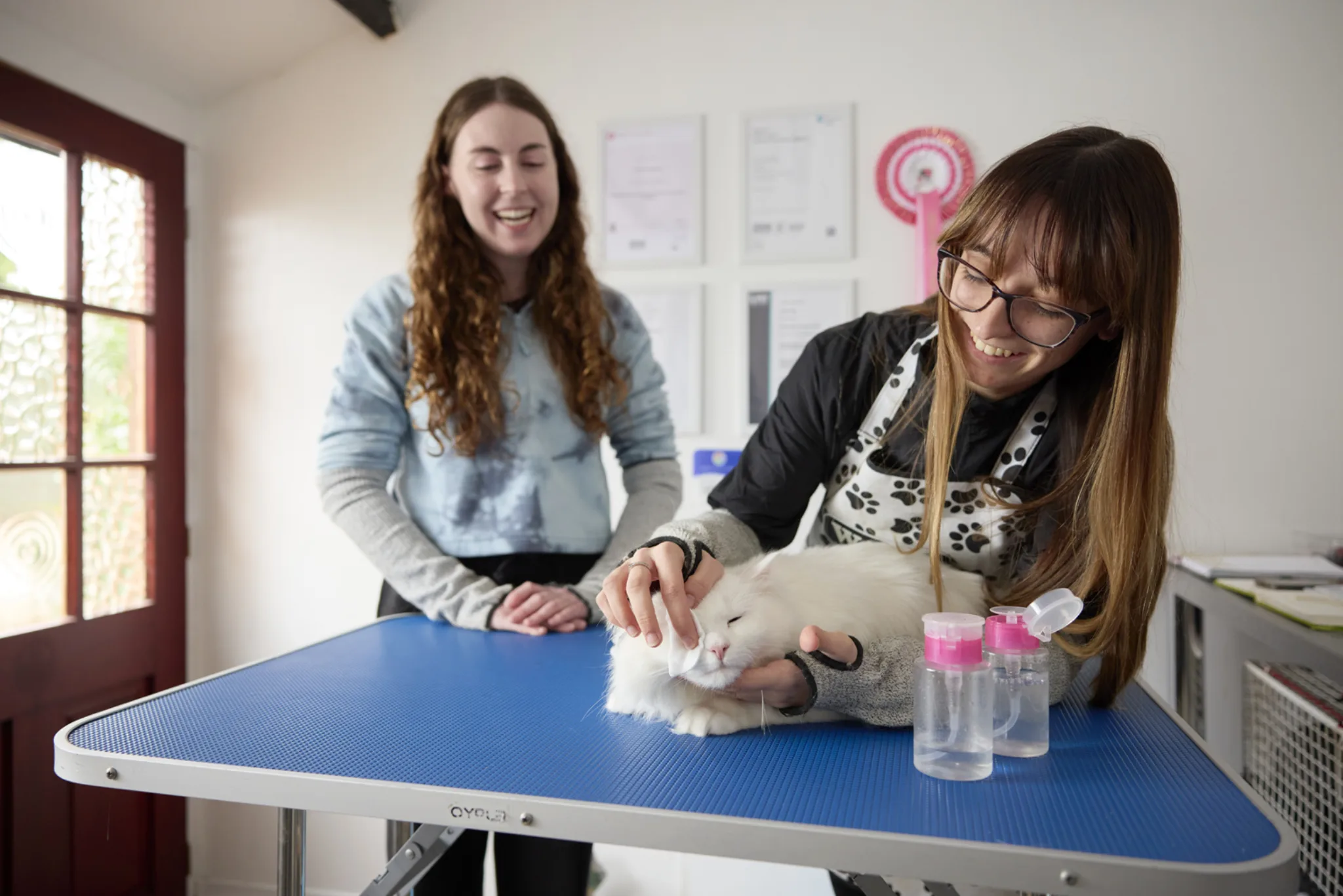 Moulton College Cloverlea Cattery 310125 0038