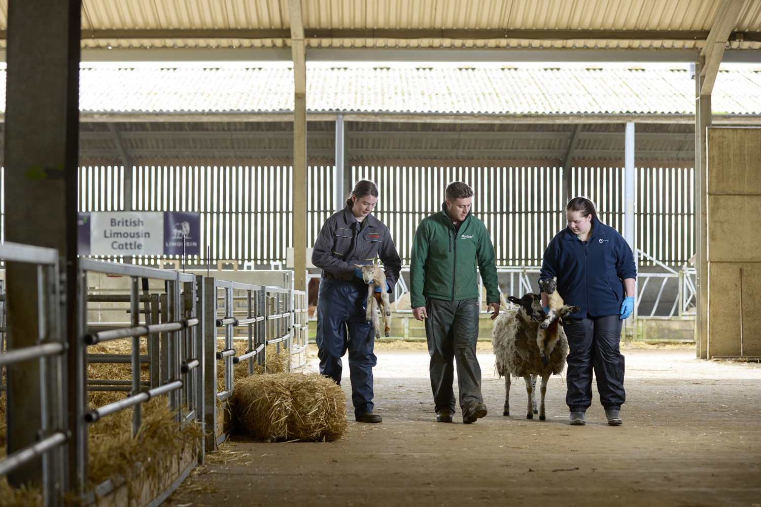 Agriculture Moulton College 150324 0699