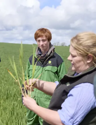 Moulton College launches new agriculture apprenticeship to support UK farming