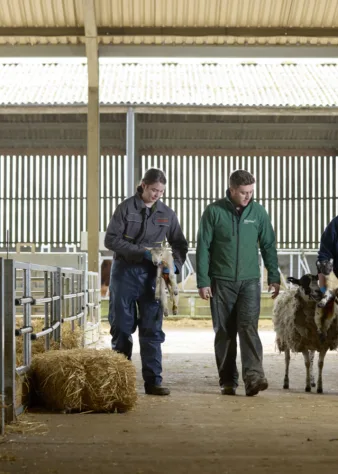 Agriculture Moulton College 150324 0699