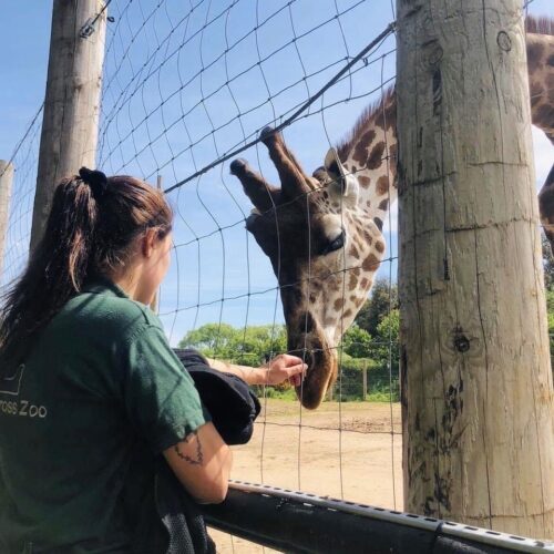Leanne Kinsella Zookeeper1