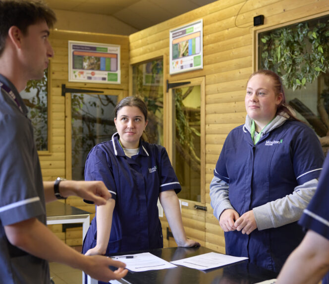 Diploma Level 3 Veterinary Nursing (Small Animal Practice)