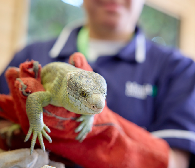 BSc(Hons) Applied Zoology