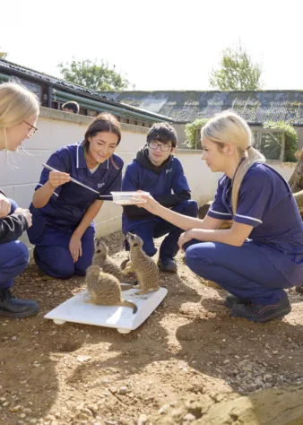 Animal Welfare Moulton College Animal Welfare 290923 0571
