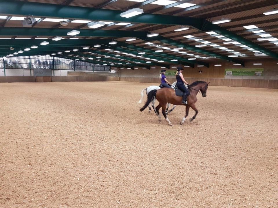 Arena Hire - Must be booked in advance of payment