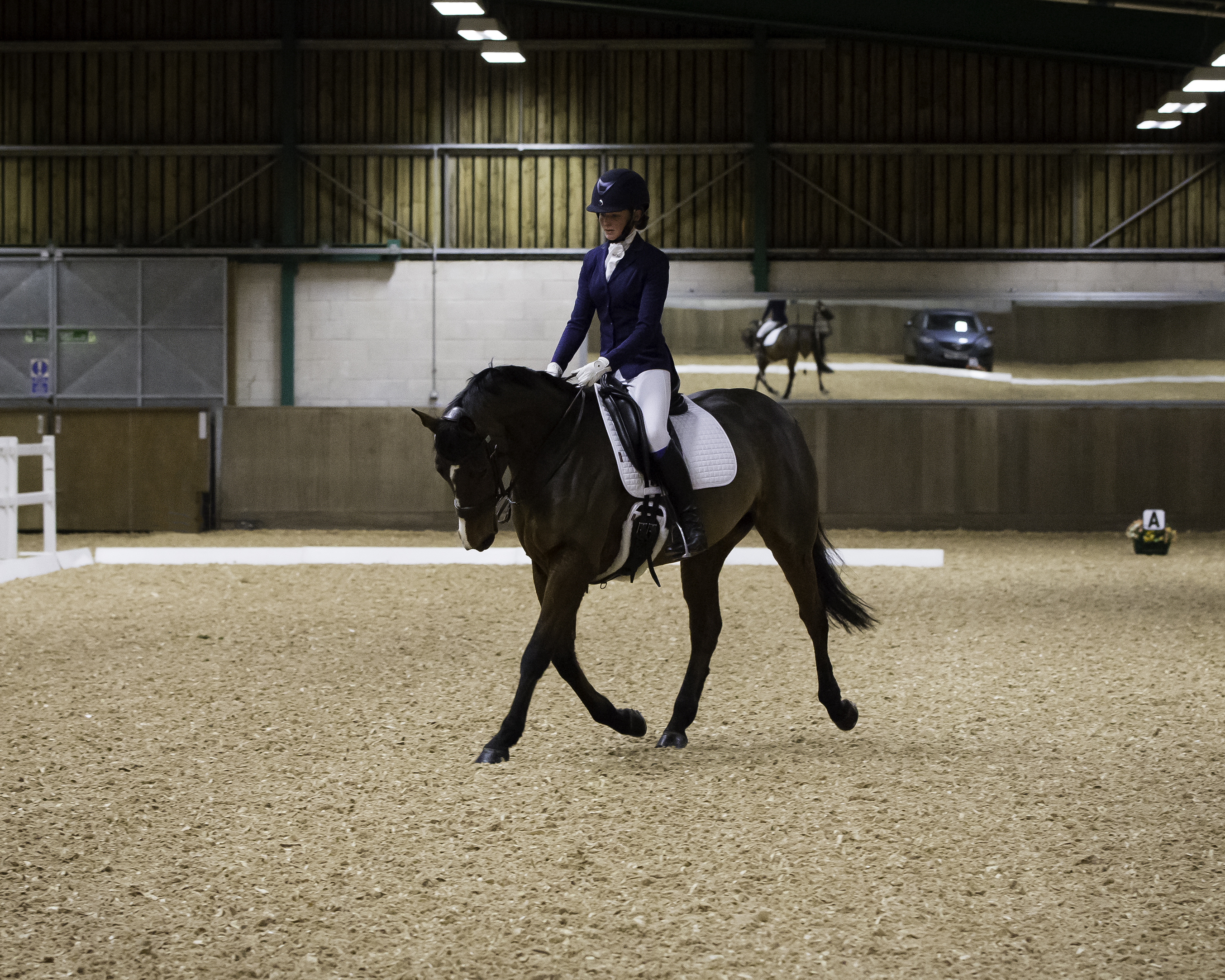 Dressage R Boulton