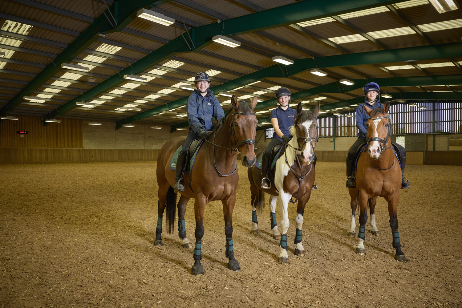 Equine Moulton College Equine 2809234 1563