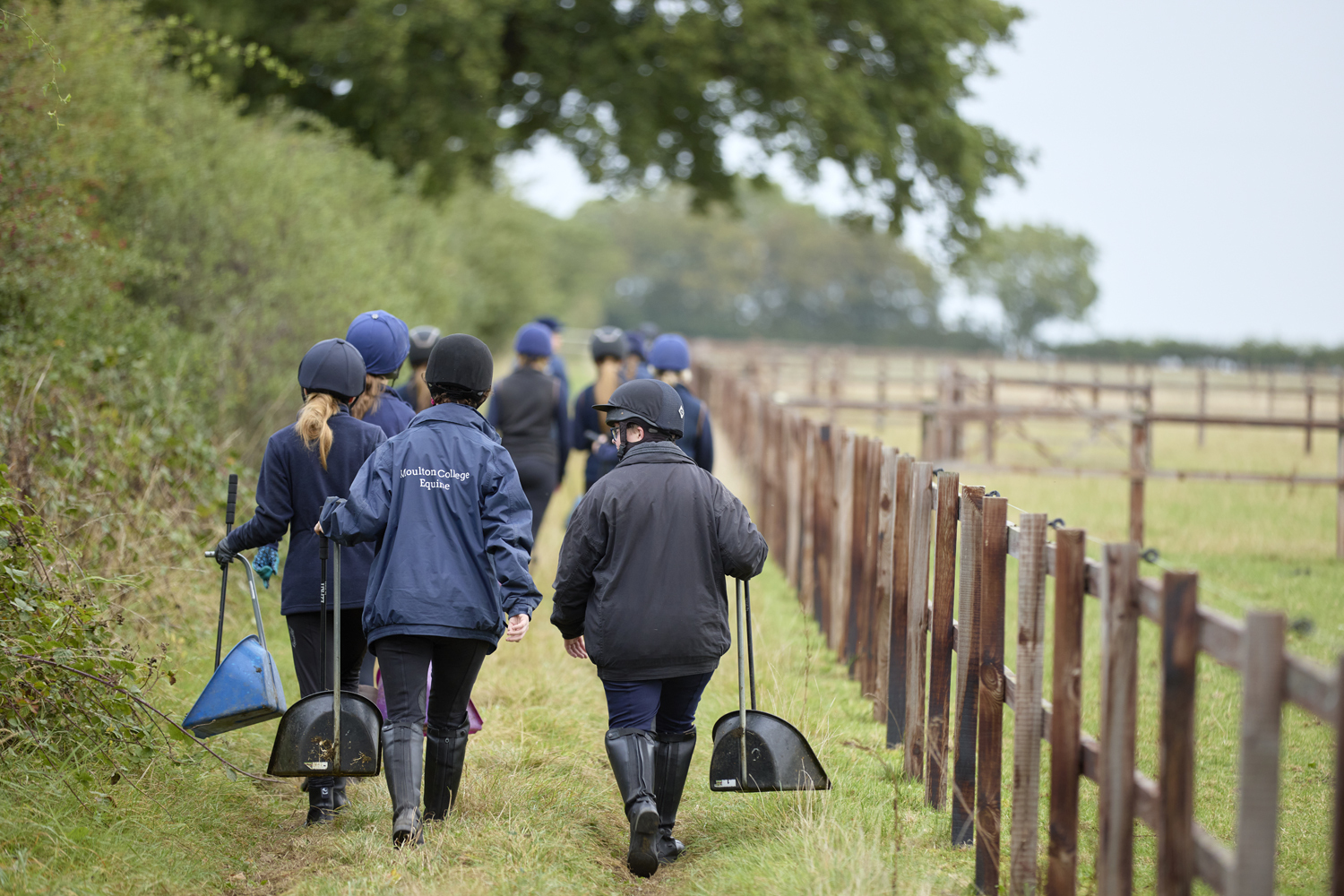 Equine Moulton College Equine 2809234 2682