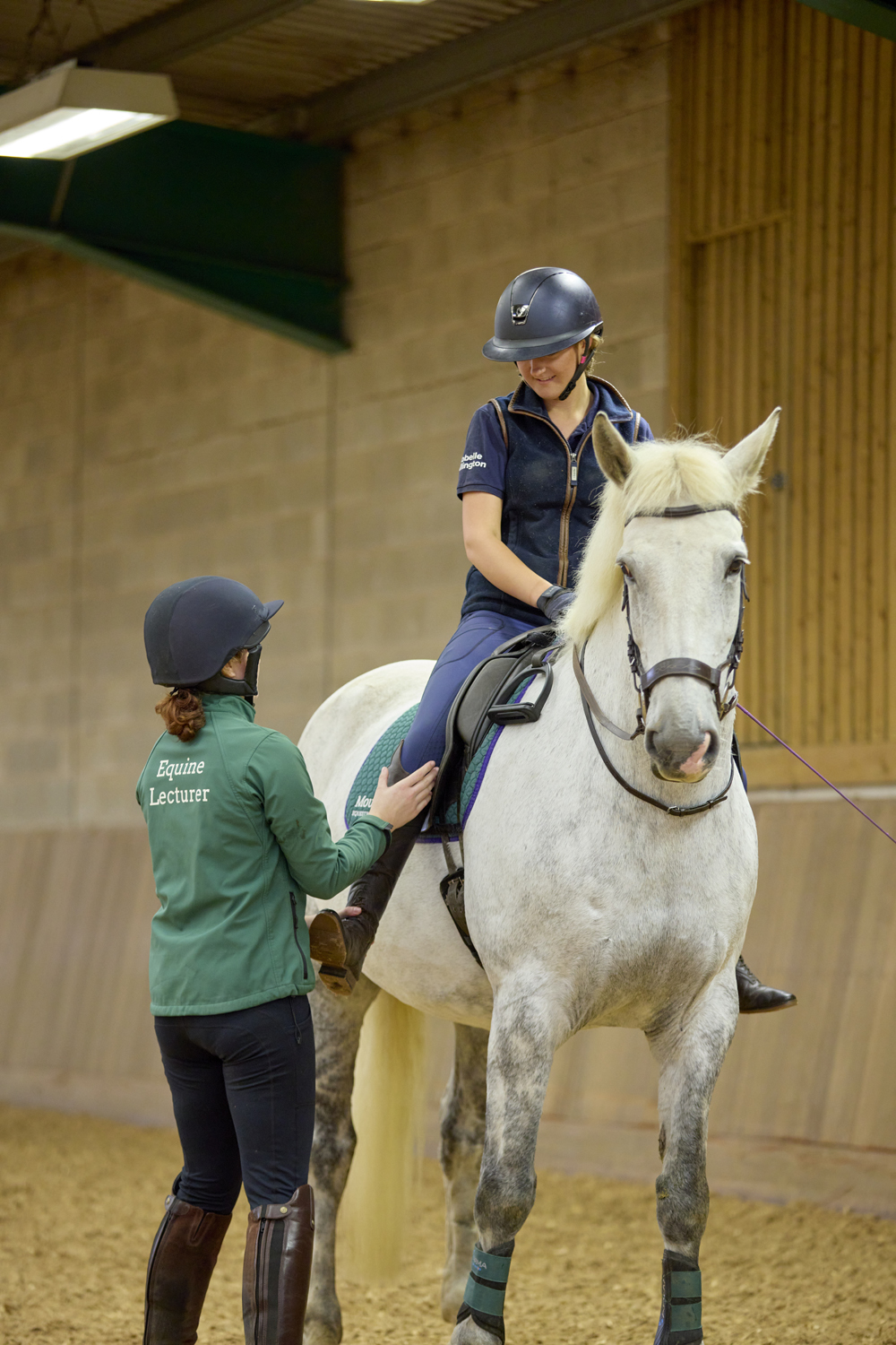 Equine Moulton College Equine 2809234 3162