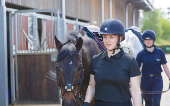 British Horse Society praises Moulton College’s equestrian offering
