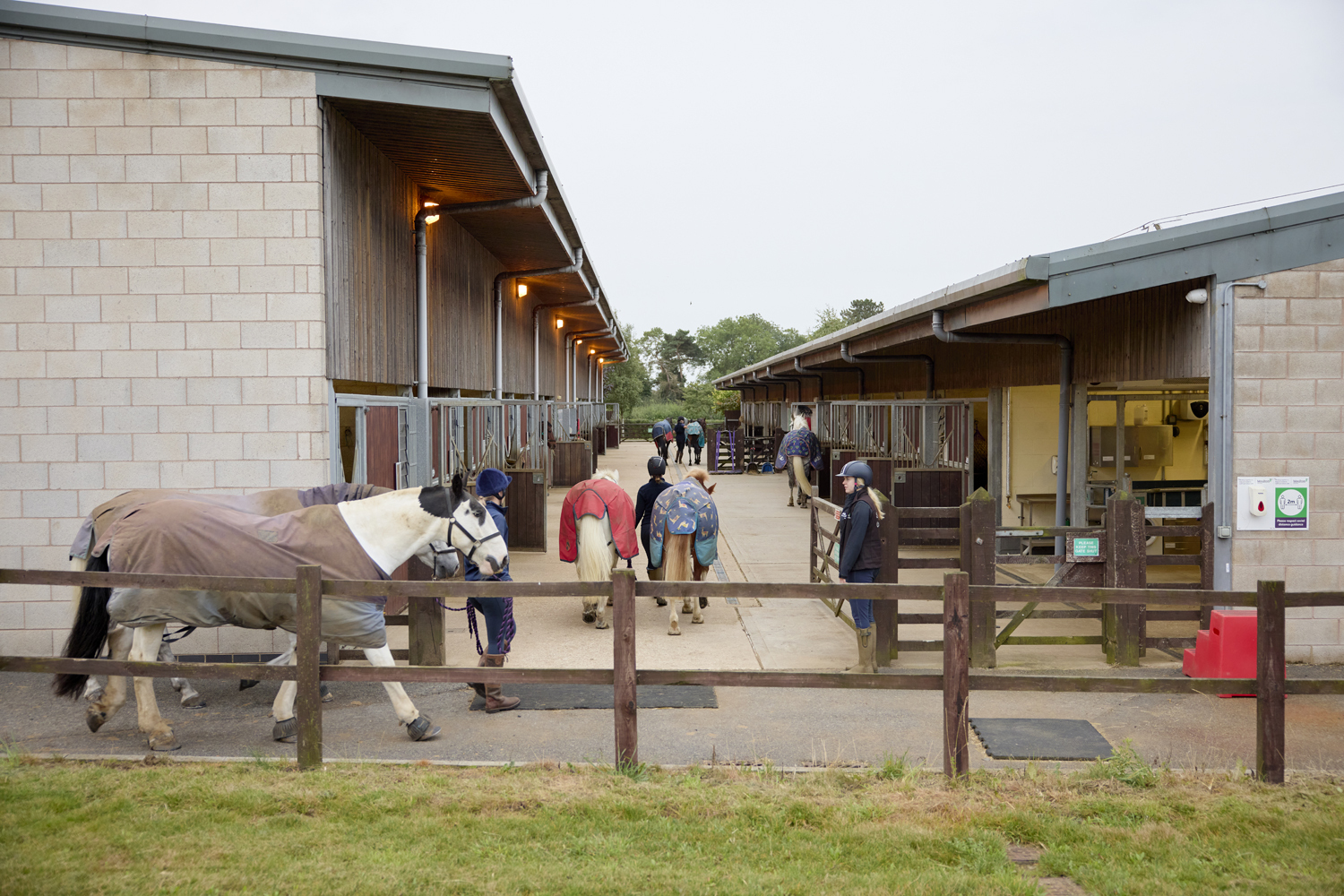 Moulton College Equine 2809234 0342