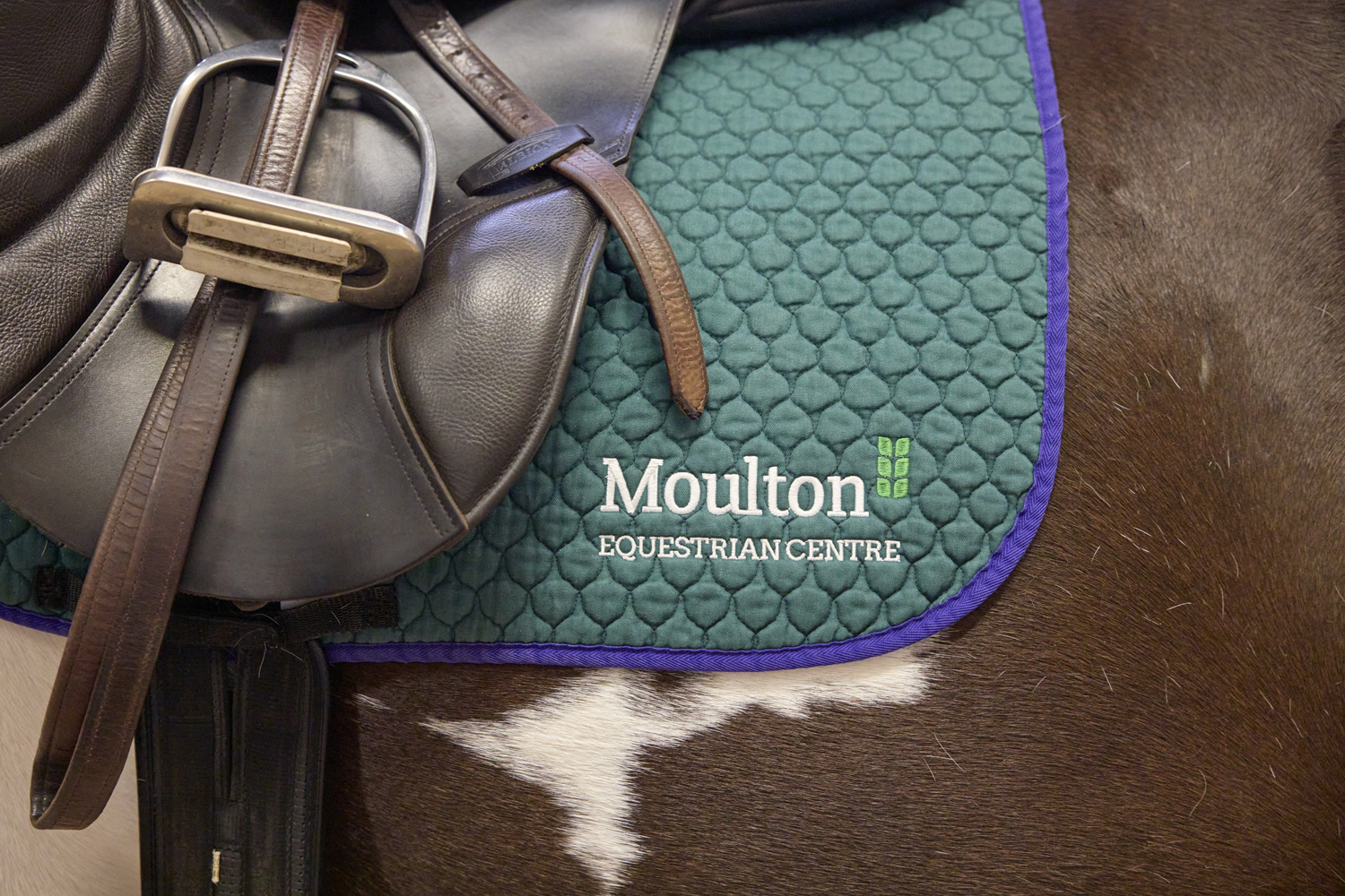Moulton College Equine 2809234 1078