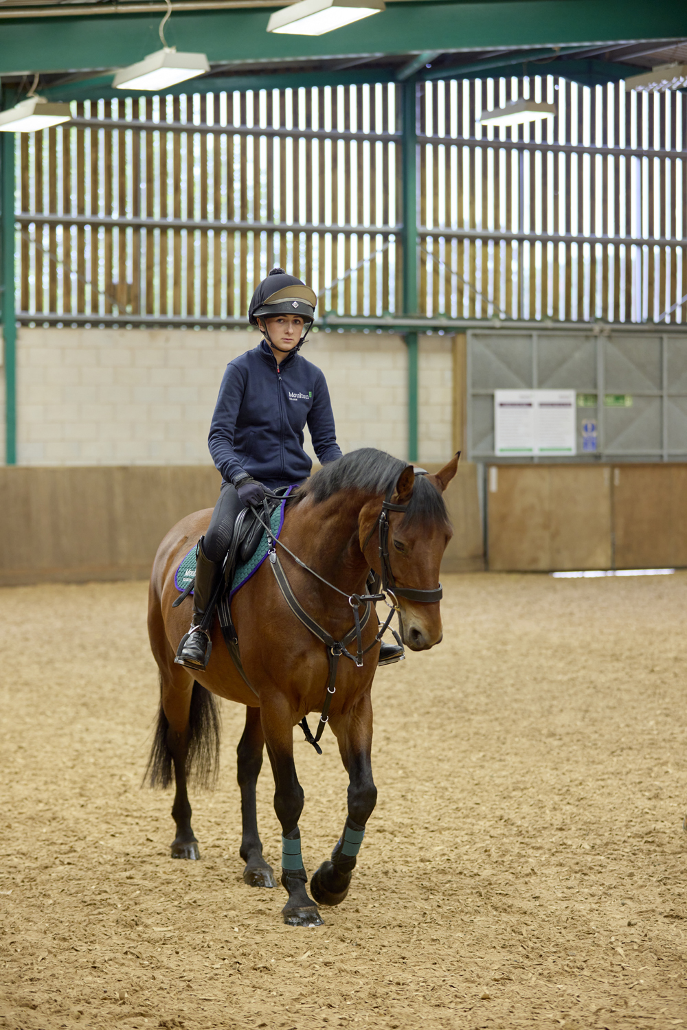 Moulton College Equine 2809234 2943