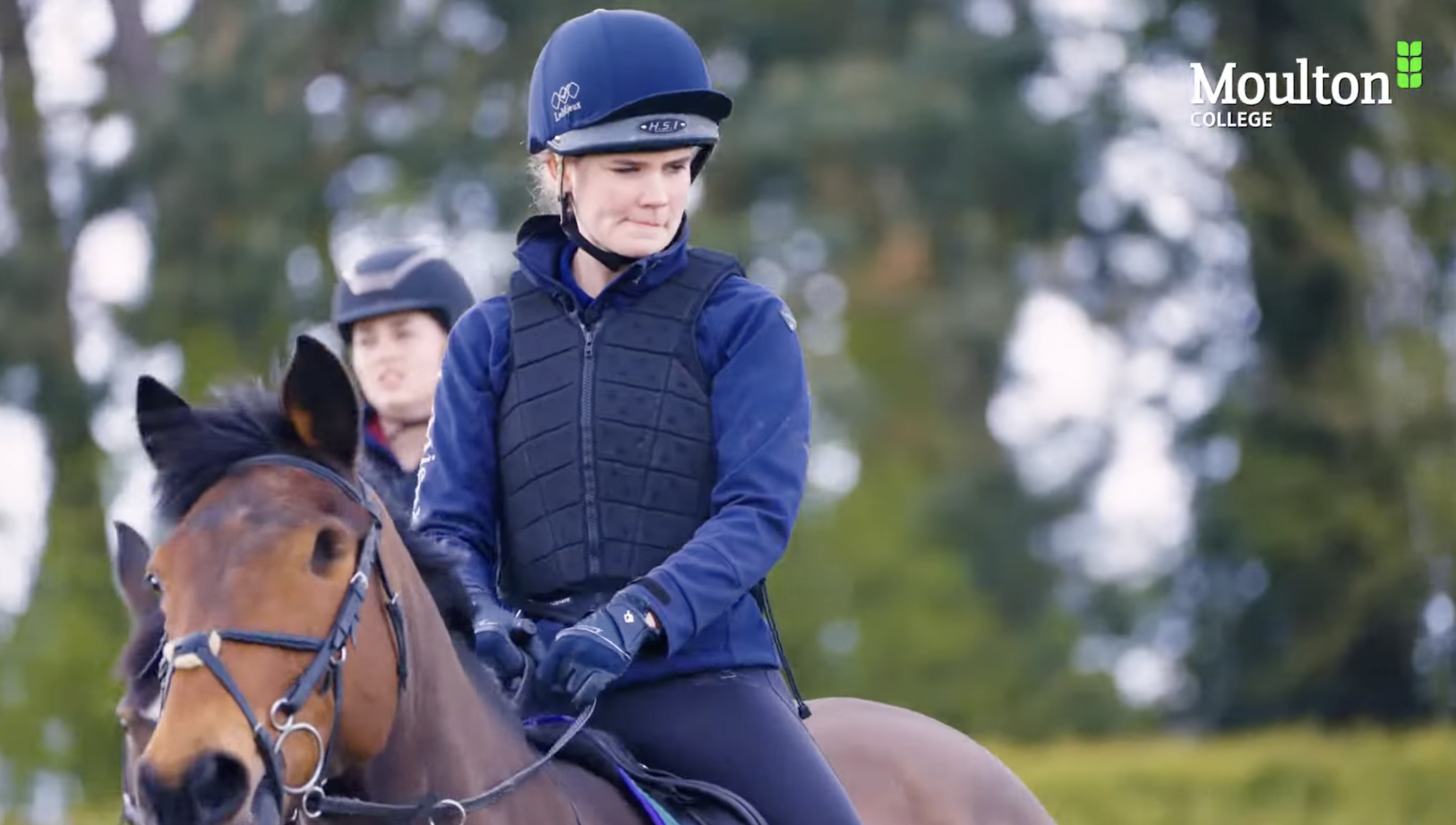 Equine video thumbnail
