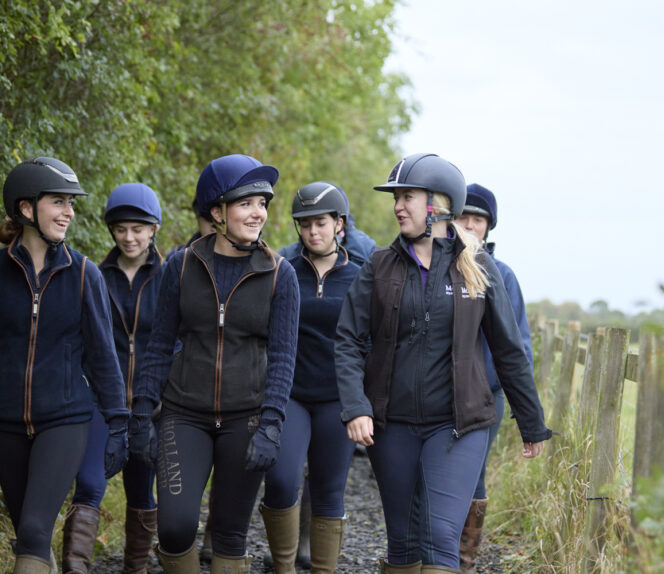Diploma Level 1 Horse Care