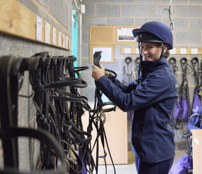 Diploma Level 1 Horse Care