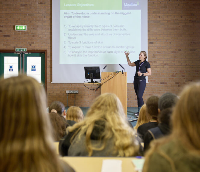 Technical Certificate Level 2 Equine Care