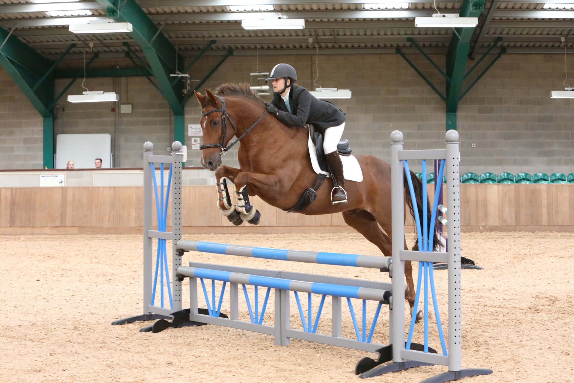 Show Jumps PB1 6939