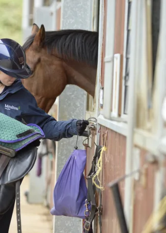 Moulton College Equine 2809234 2817