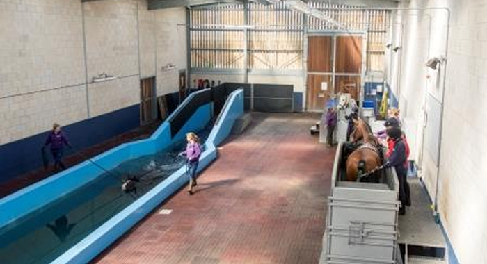 TASTER Aqua Treadmill or Swim Session (1hr)