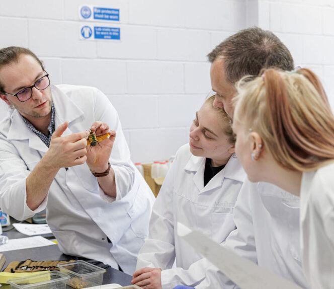 BSc(Hons) Animal Behavioural Science and Welfare (Top Up)