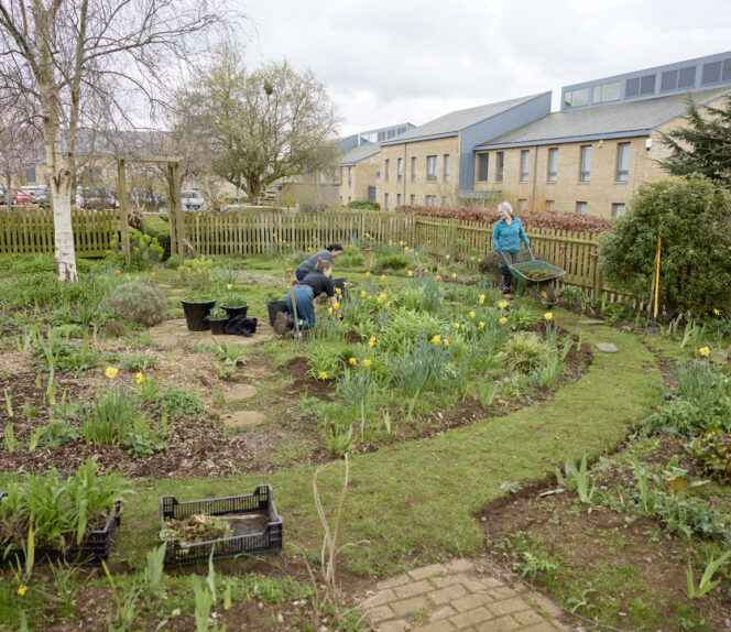 RHS Certificate Level 2 Practical Horticulture