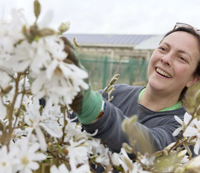 Technical Certificate Level 2 Horticulture