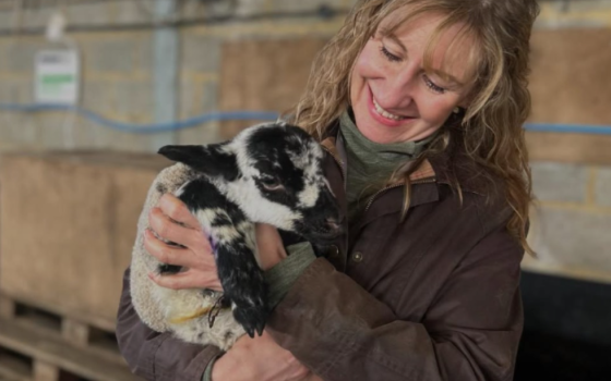 Lambing Sunday at Moulton College, a huge success