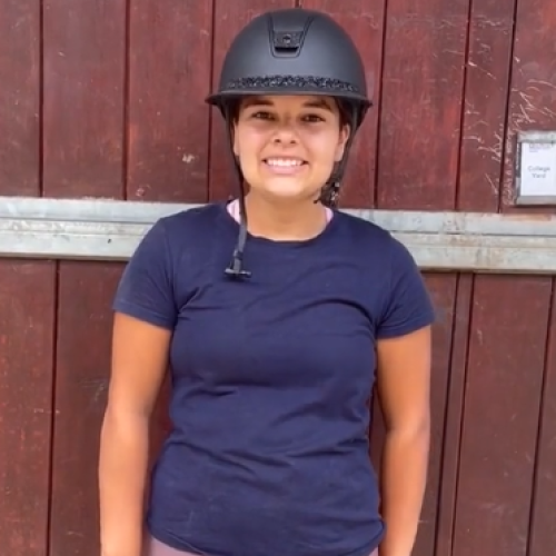 Olivia Equine Management