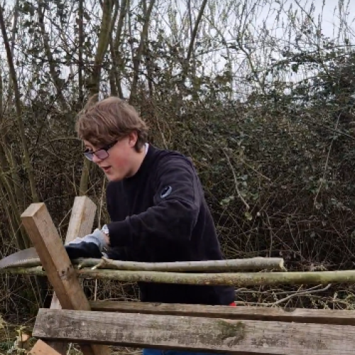 Tommy Level 2 Horticulture
